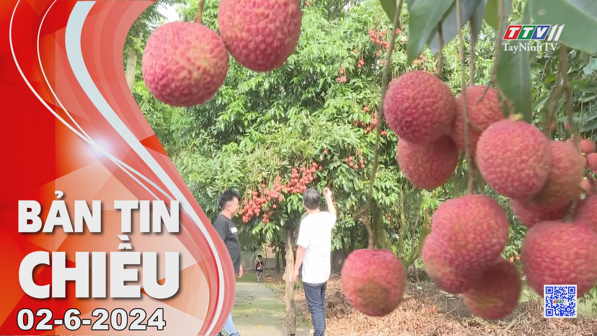 Bản tin chiều 02-6-2024 | Tin tức hôm nay | TayNinhTV