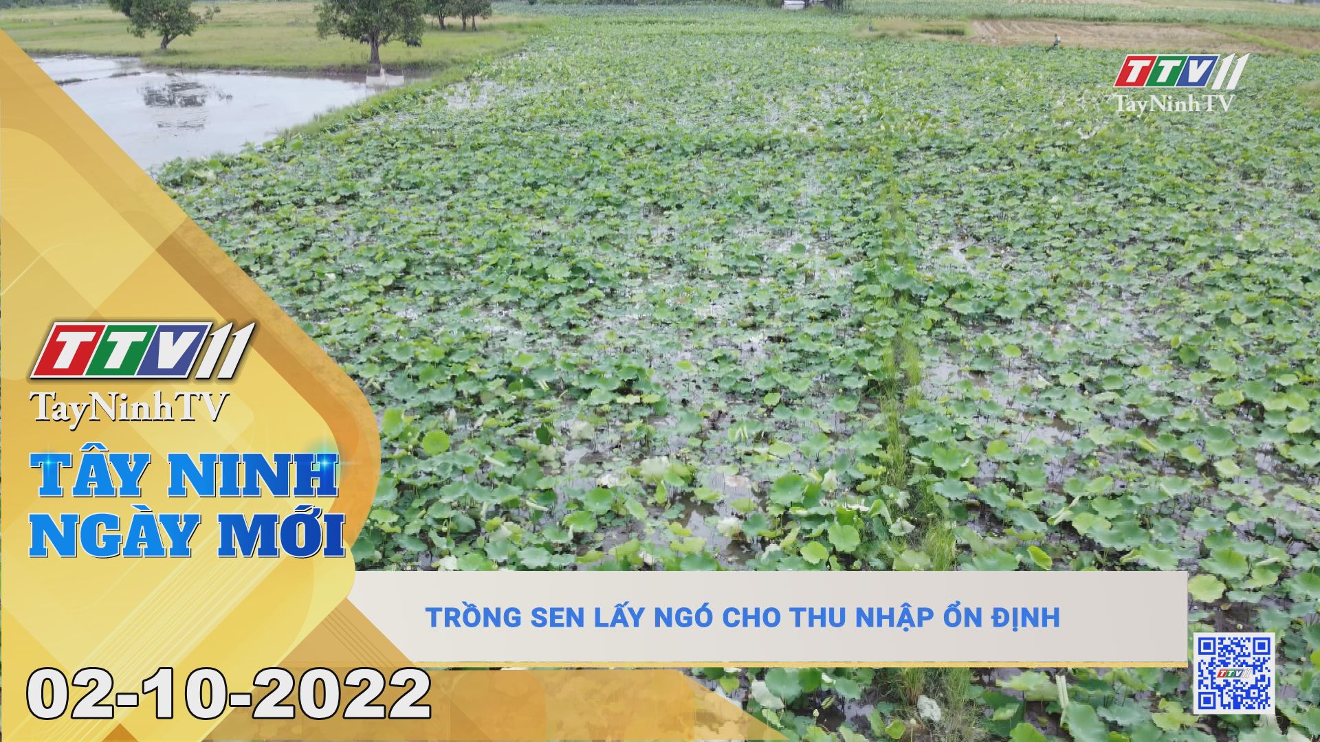 Tây Ninh ngày mới 02-10-2022 | Tin tức hôm nay | TayNinhTV