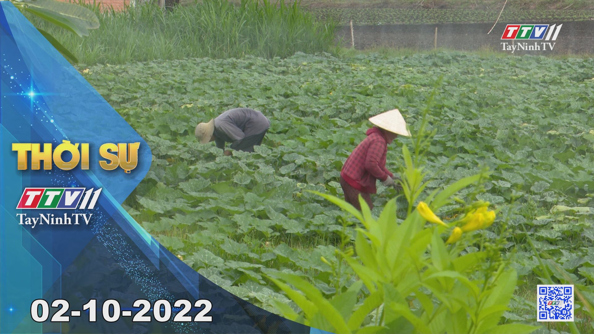 Thời sự Tây Ninh 02-10-2022 | Tin tức hôm nay | TayNinhTV