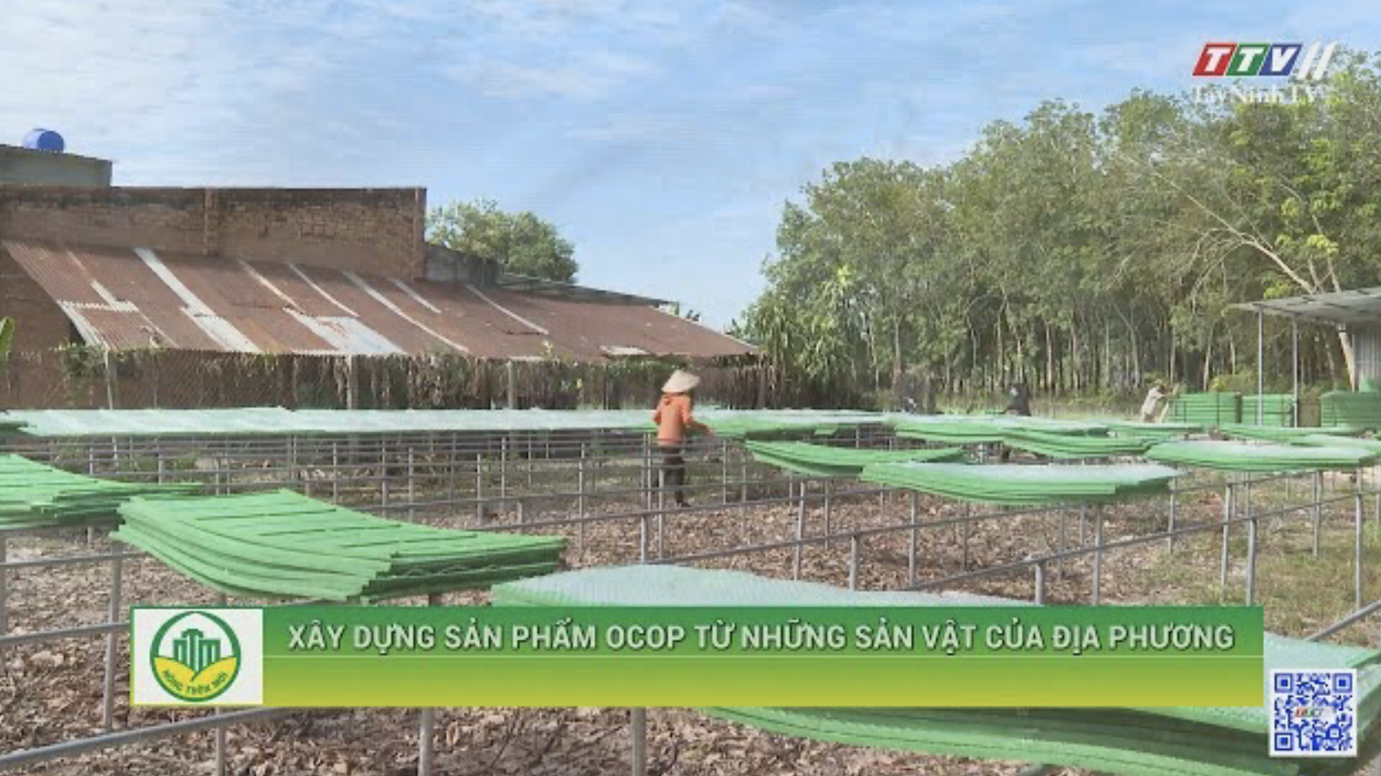 XÂY DỰNG SẢN PHẨM OCOP TỪ NHỮNG SẢN VẬT CỦA ĐỊA PHƯƠNG | Tây Ninh xây dựng nông thôn mới | TayNinhTV