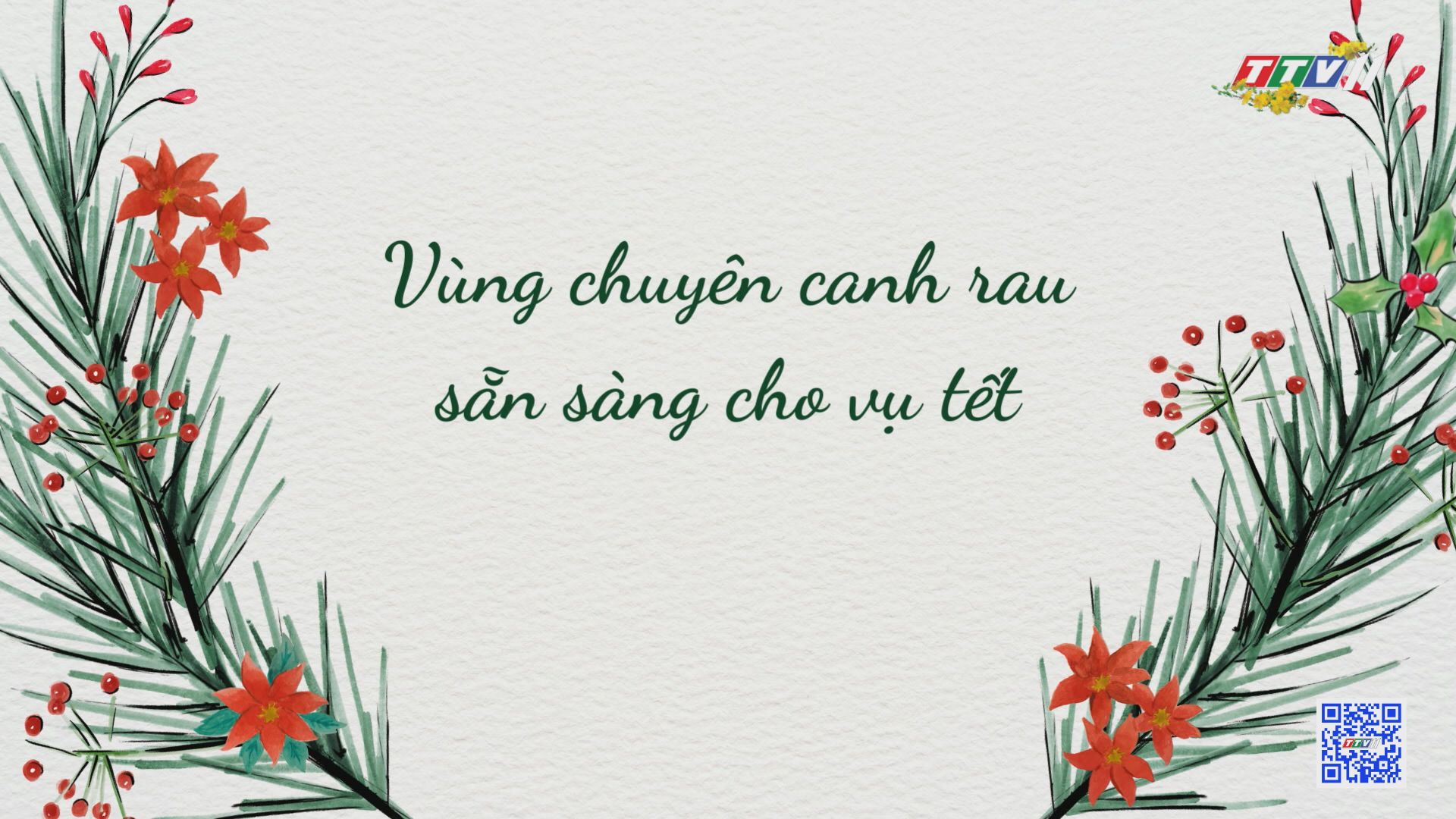 VÙNG CHUYÊN CANH RAU SẴN SÀNG CHO VỤ TẾT | Nông nghiệp Tây Ninh | TayNinhTV