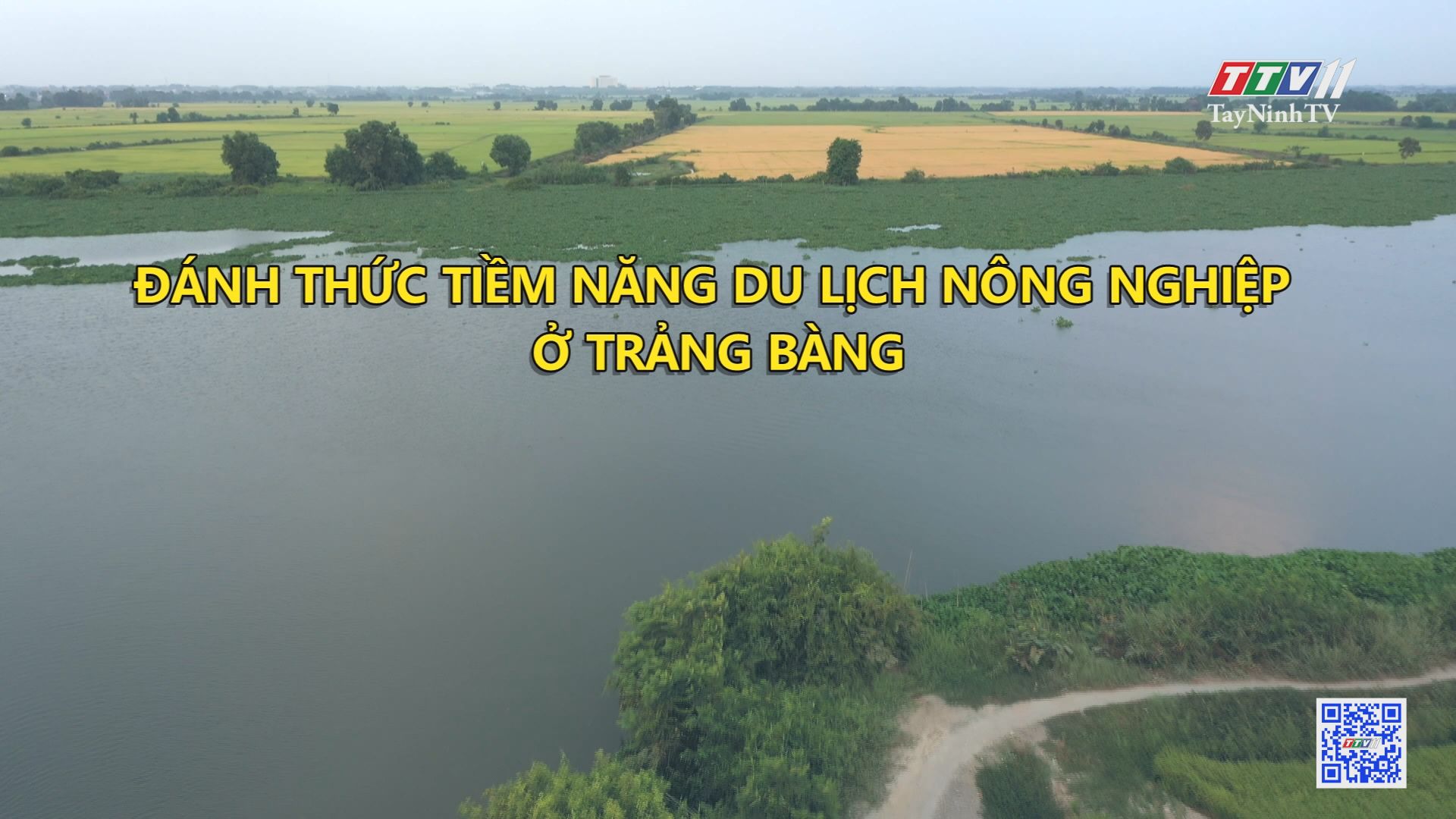 Đánh thức tiềm năng du lịch nông nghiệp ở Trảng Bàng | ẤN TƯỢNG TÂY NINH | TayNinhTV