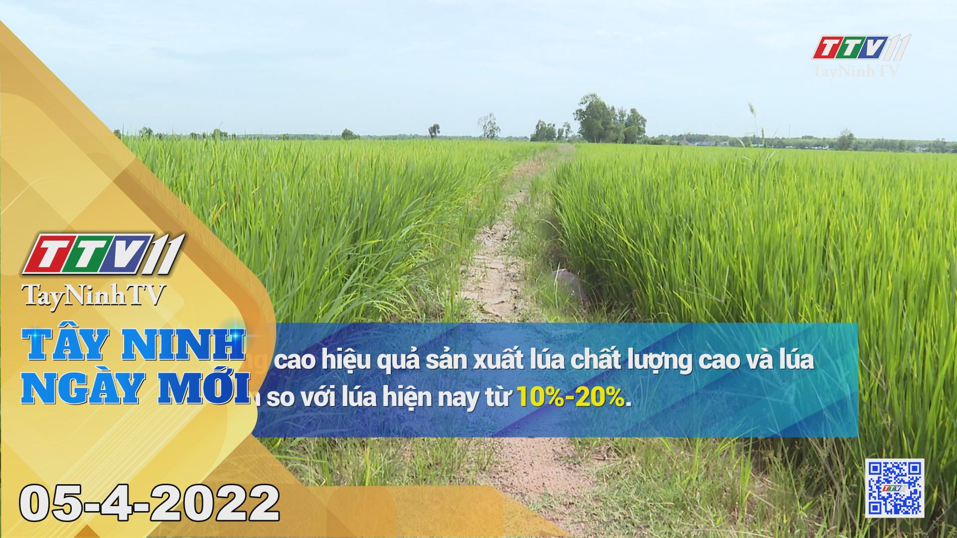 Tây Ninh ngày mới 05-4-2022 | Tin tức hôm nay | TayNinhTV