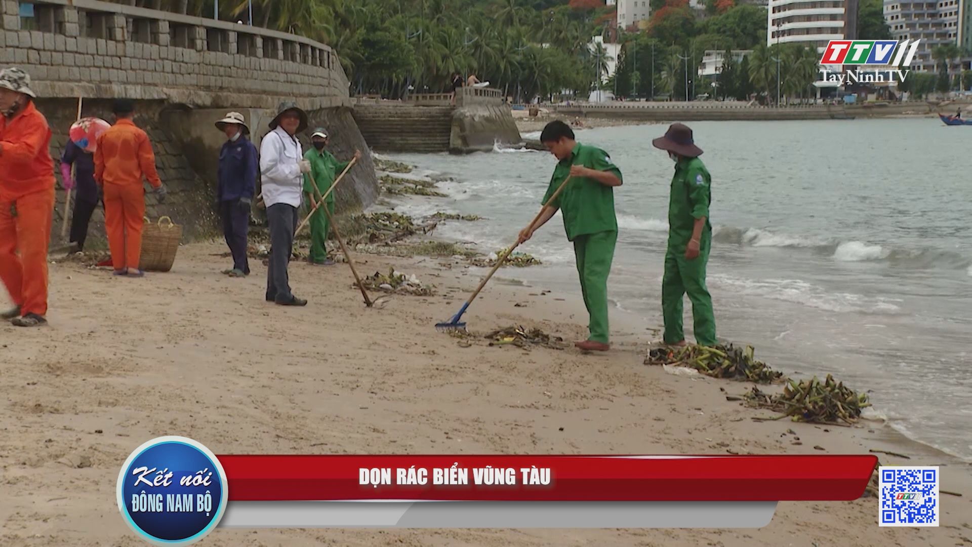 Dọn rác biển Vũng Tàu | Kết nối Đông Nam Bộ | TayNinhTV