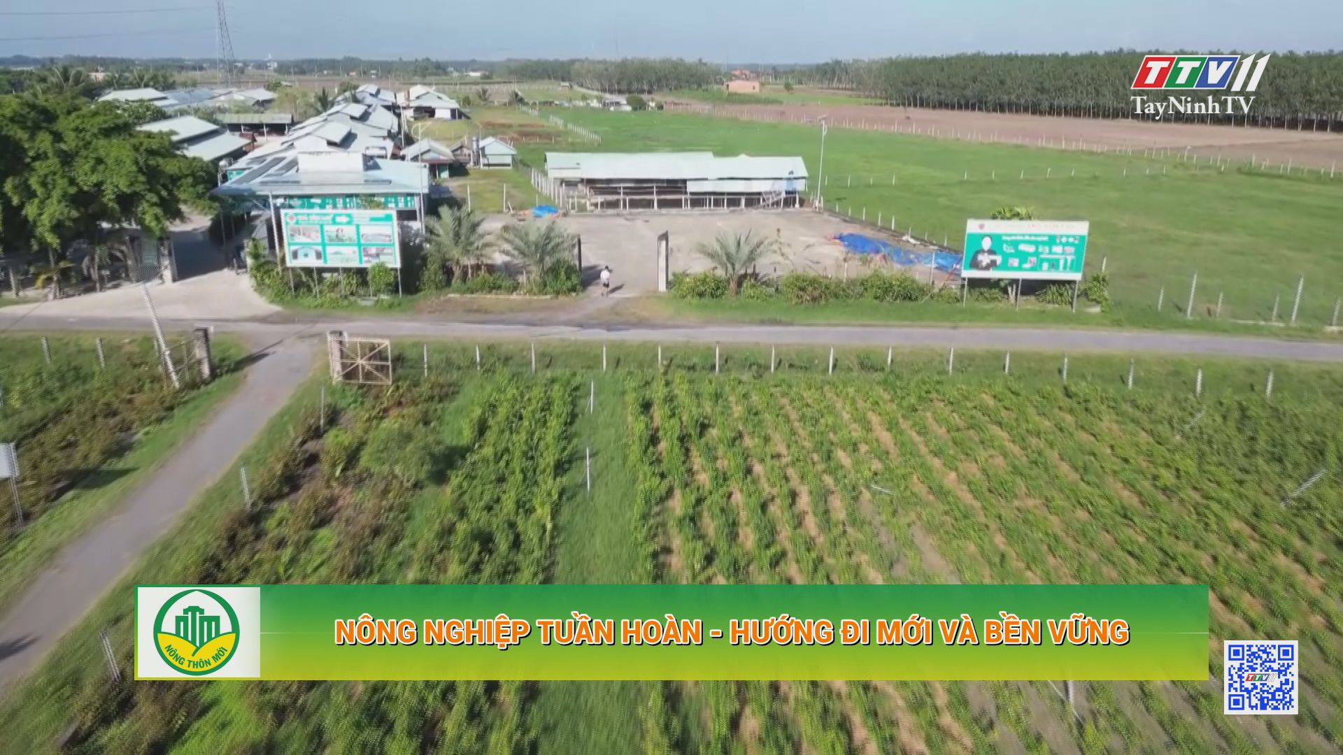 Nông nghiệp tuần hoàn - hướng đi mới và bền vững | Tây Ninh xây dựng nông thôn mới | TayNinhTV