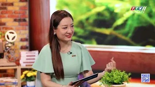 Xây nhà trên đất của cha mẹ vợ, ly hôn chia tài sản thế nào? | THẤU LÝ THẤM TÌNH | TayNinhTVART