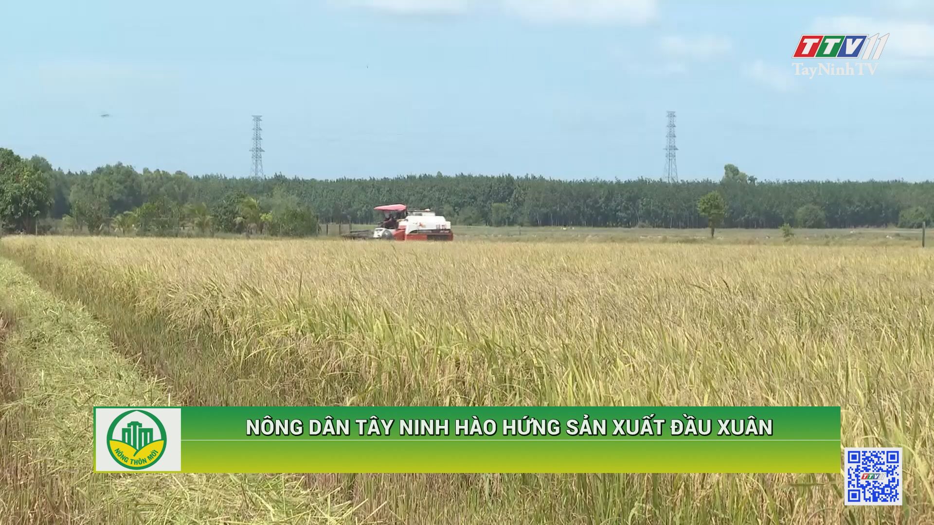 Nông dân Tây Ninh hào hứng sản xuất đầu xuân | TÂY NINH XÂY DỰNG NÔNG THÔN MỚI | TayNinhTV