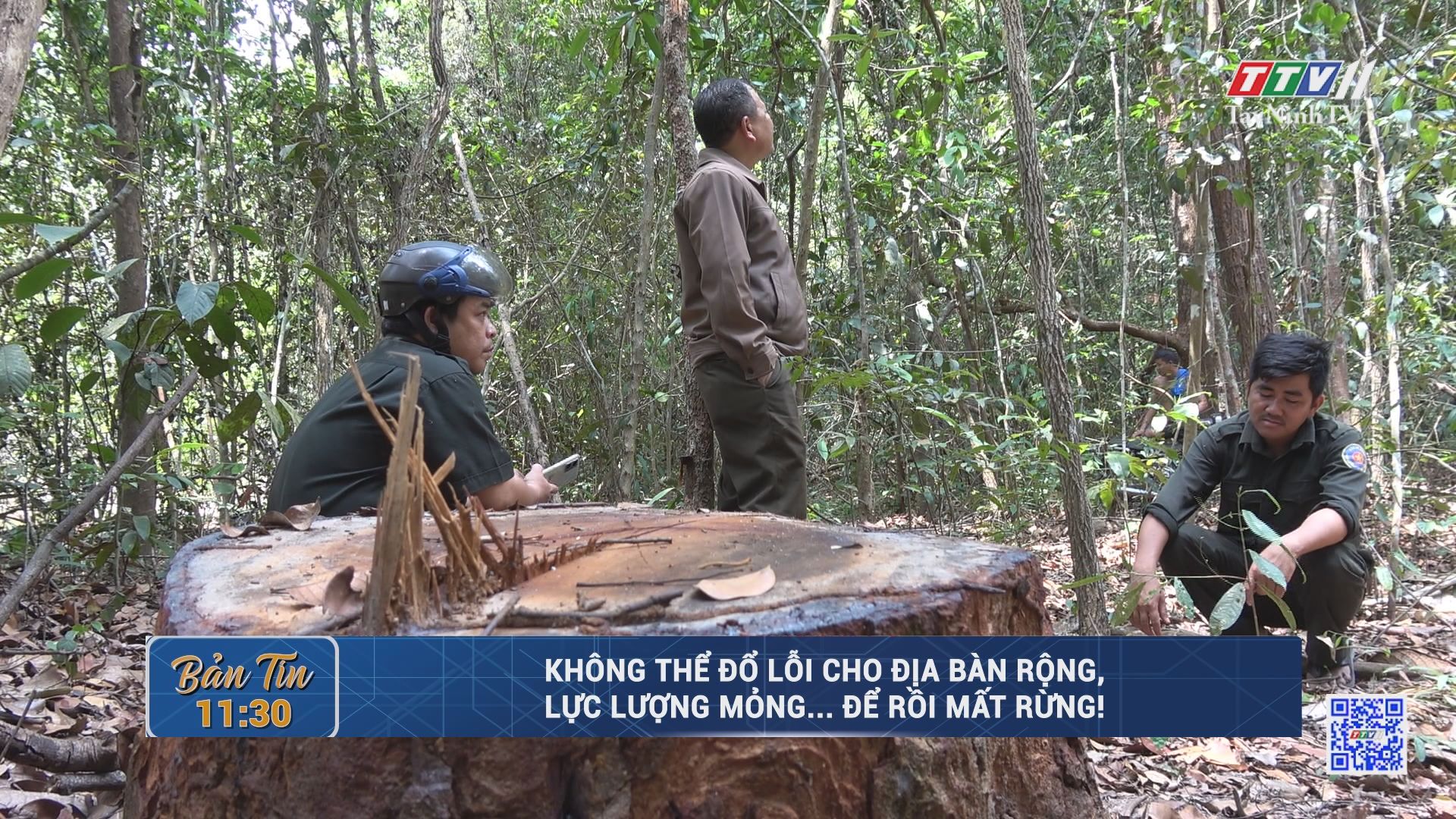 Không thể đổ lỗi cho địa bàn rộng, lực lượng mỏng... để rồi mất rừng! | TayNinhTV