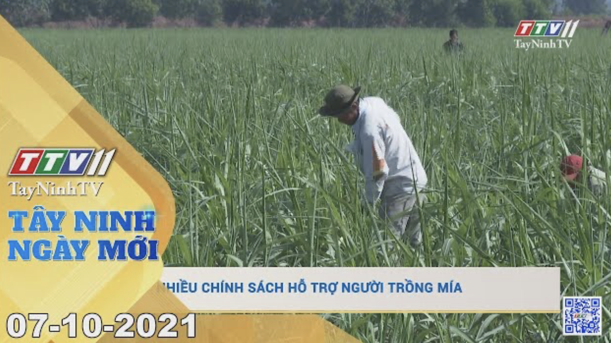 TÂY NINH NGÀY MỚI 07/10/2021 | Tin tức hôm nay | TayNinhTV