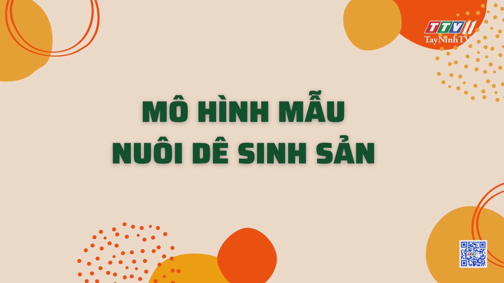 Mô hình mẫu nuôi dê sinh sản | Nông nghiệp Tây Ninh | TayNinhTV