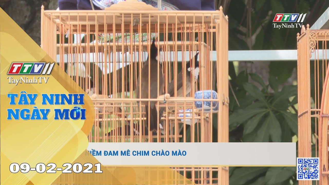 Tây Ninh Ngày Mới 09-02-2021 | Tin tức hôm nay | TayNinhTV