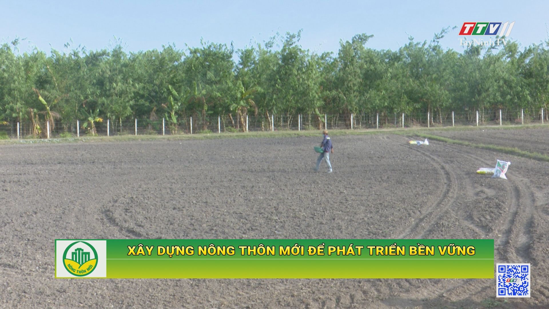 Xây dựng nông thôn mới để phát triển bền vững | TayNinhTV