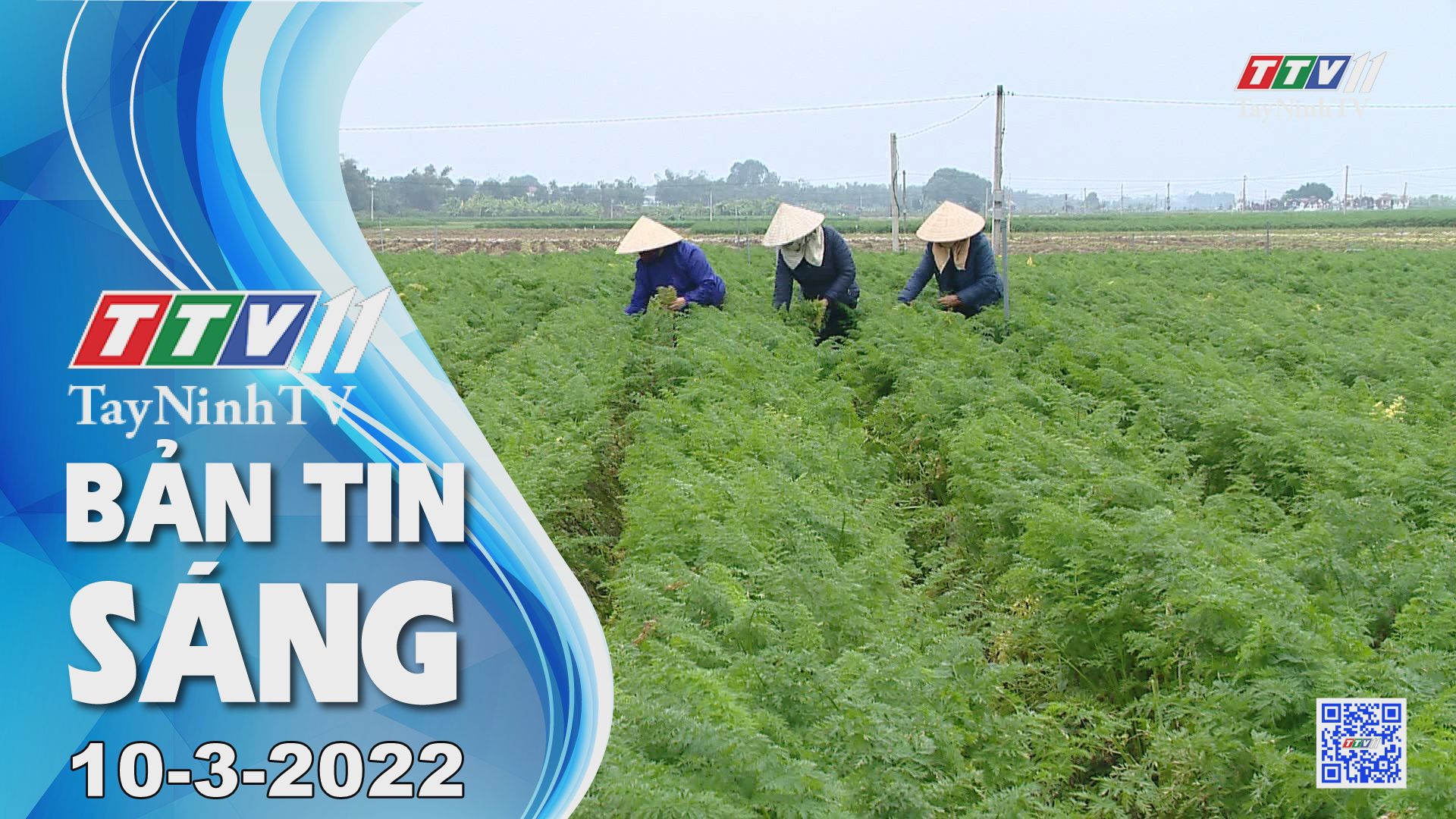 Bản tin sáng 10-3-2022 | Tin tức hôm nay | TayNinhTV