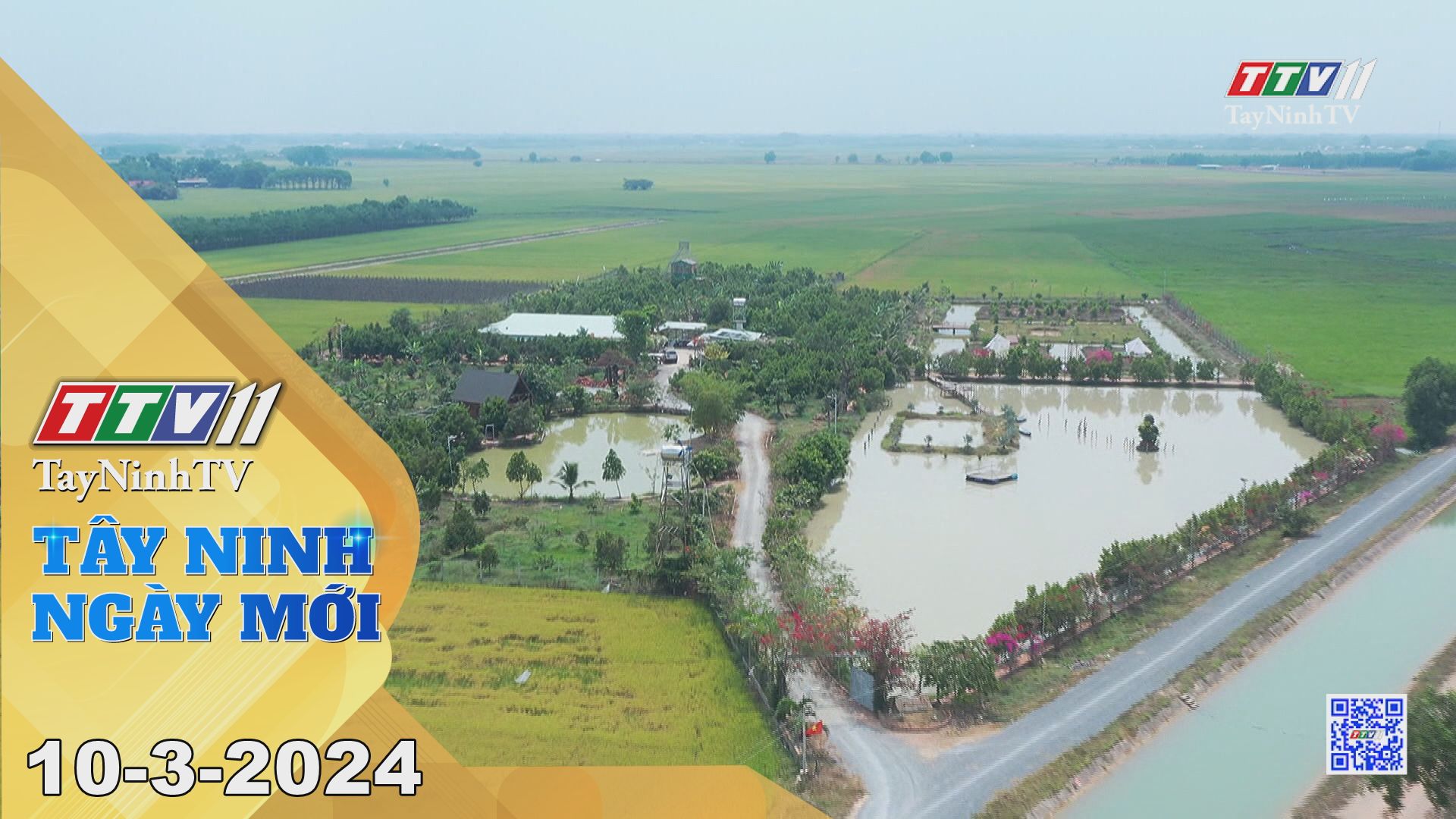 Tây Ninh ngày mới 10-3-2024 | Tin tức hôm nay | TayNinhTV