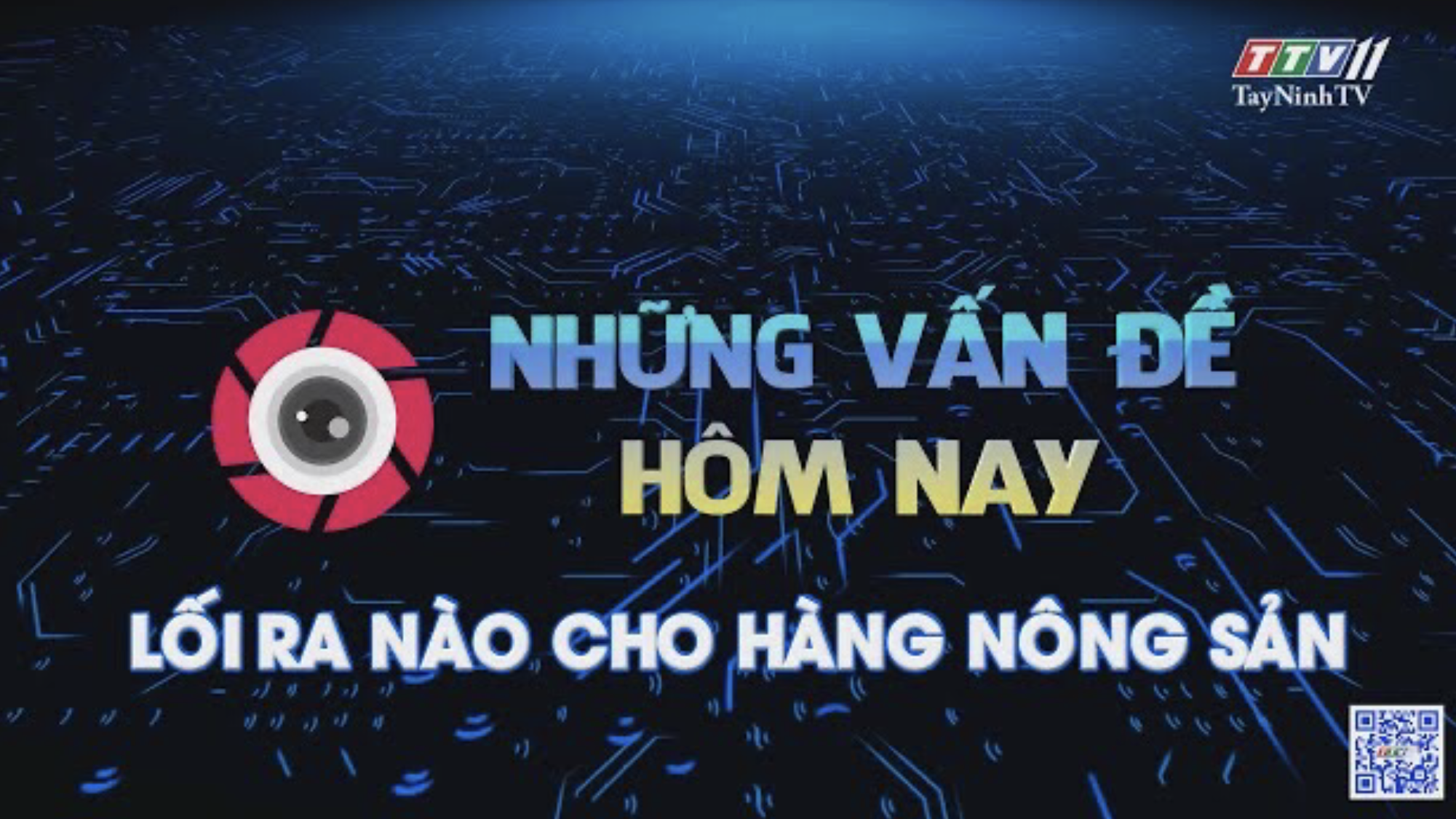 LỐI RA NÀO CHO HÀNG NÔNG SẢN | Những vấn đề hôm nay | TayNinhTV