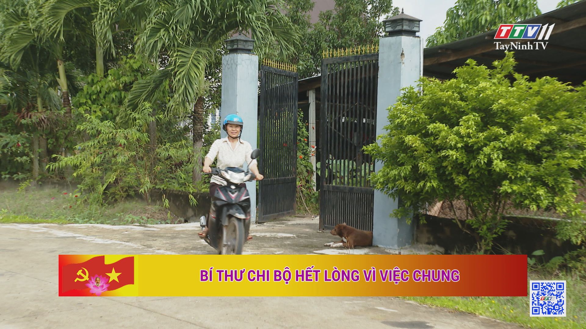 Bí thư Chi bộ hết lòng vì việc chung | Học tập và làm theo tư tưởng, đạo đức, phong cách Hồ Chí Minh | TayNinhTV