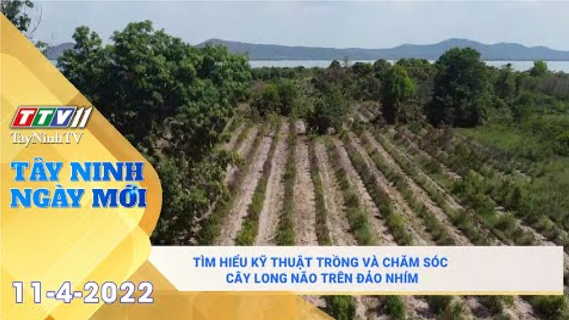 Tây Ninh ngày mới 11-4-2022 | Tin tức hôm nay | TayNinhTV