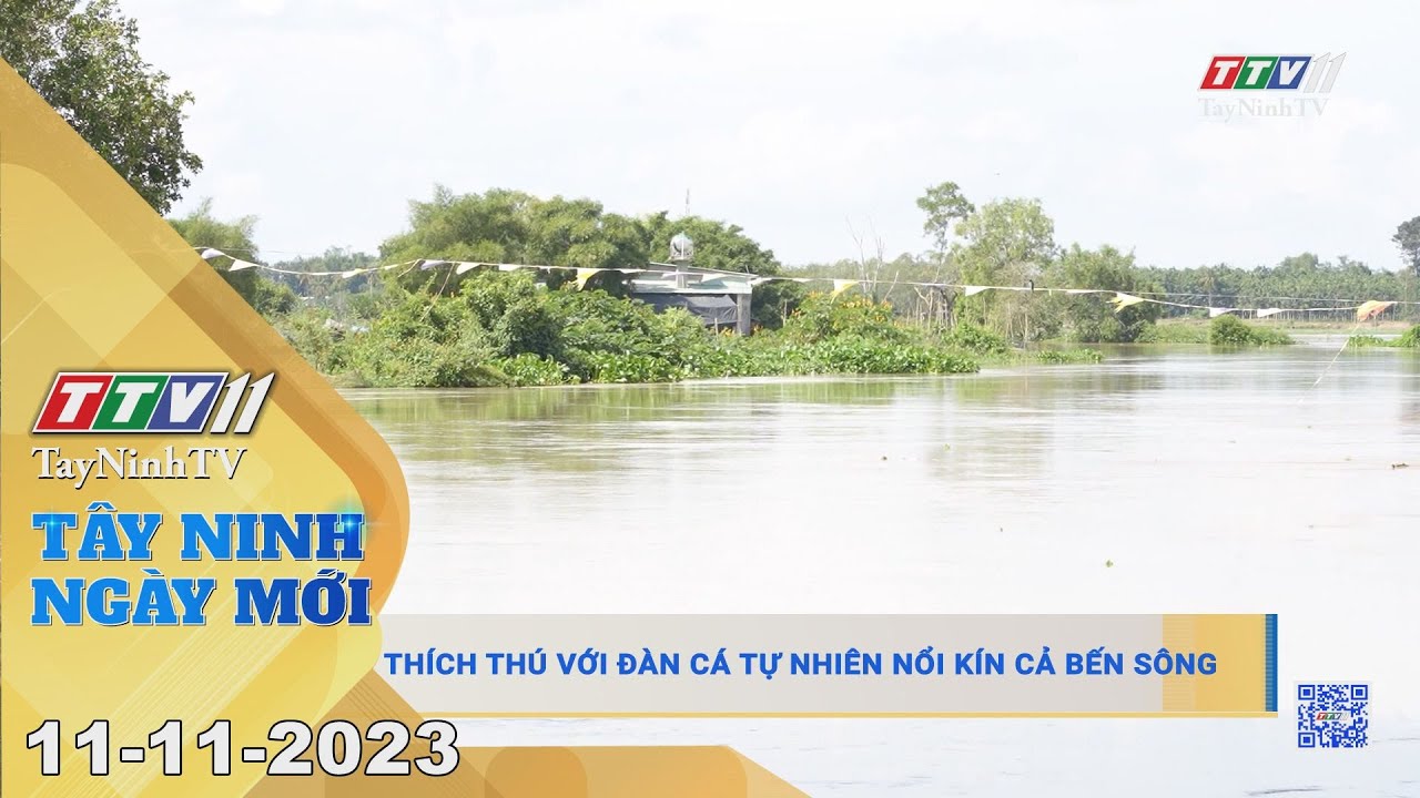 Tây Ninh ngày mới 11-11-2023 | Tin tức hôm nay | TayNinhTV