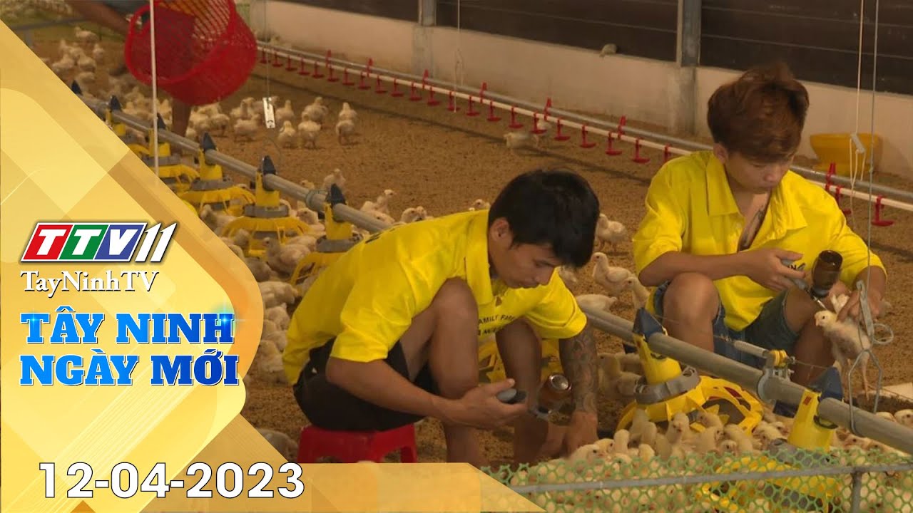 Tây Ninh ngày mới 12-4-2023 | Tin tức hôm nay | TayNinhTV