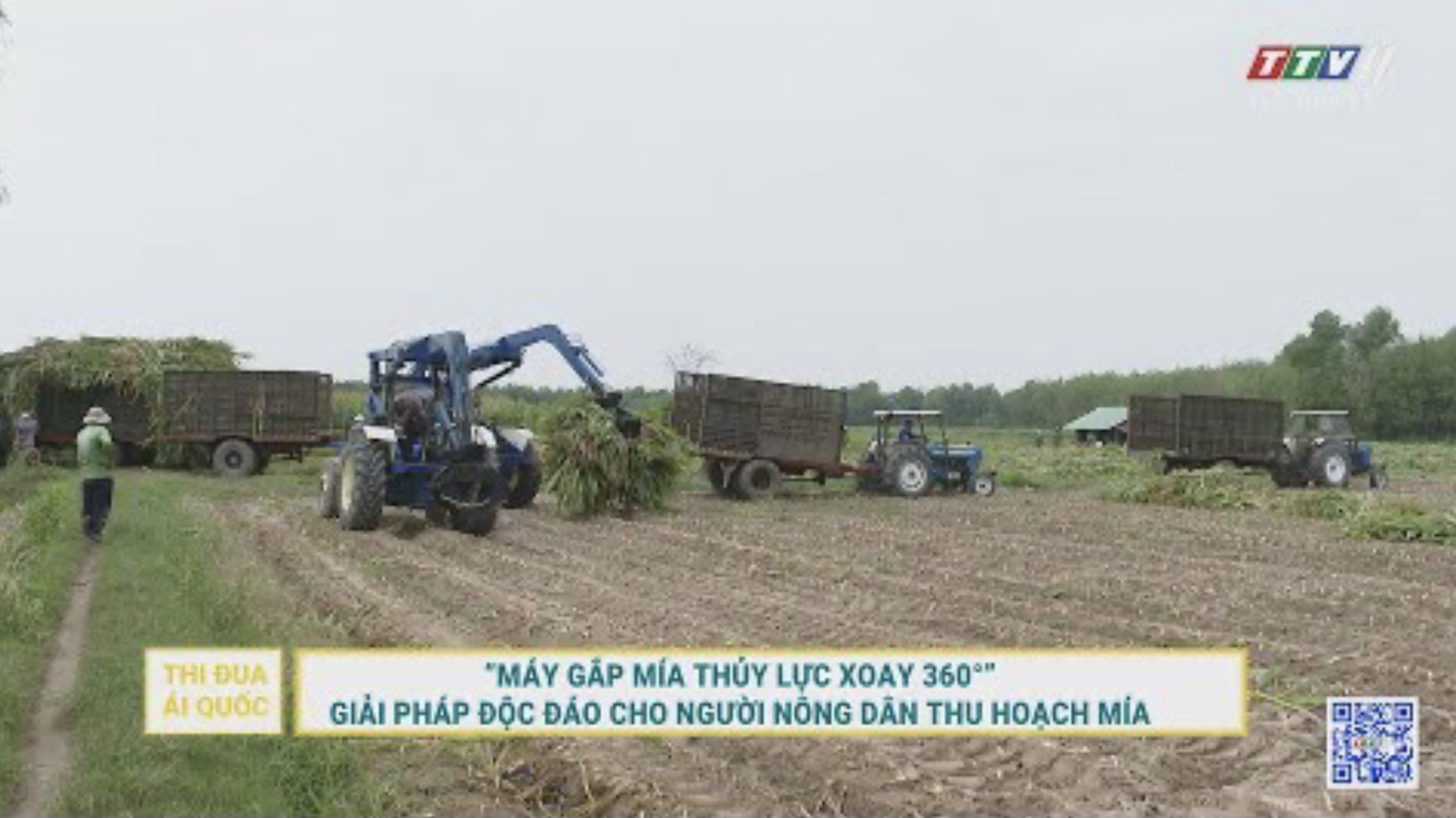 Máy gắp mía thủy lực xoay 360 độ. Giải pháp độc đáo cho người nông dân thu hoạch mía | TayNinhTV
