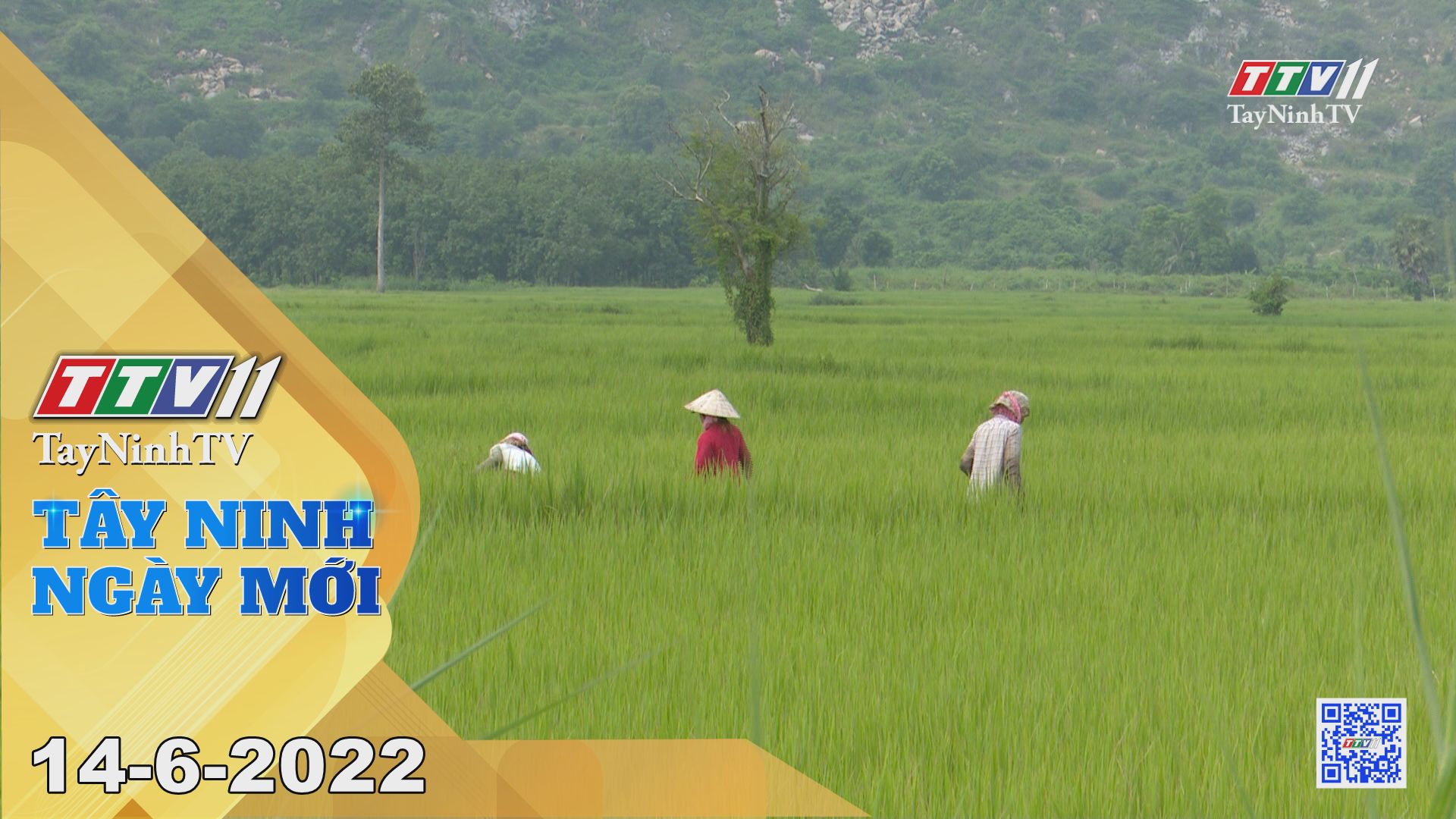 Tây Ninh ngày mới 14-6-2022 | Tin tức hôm nay | TayNinhTV