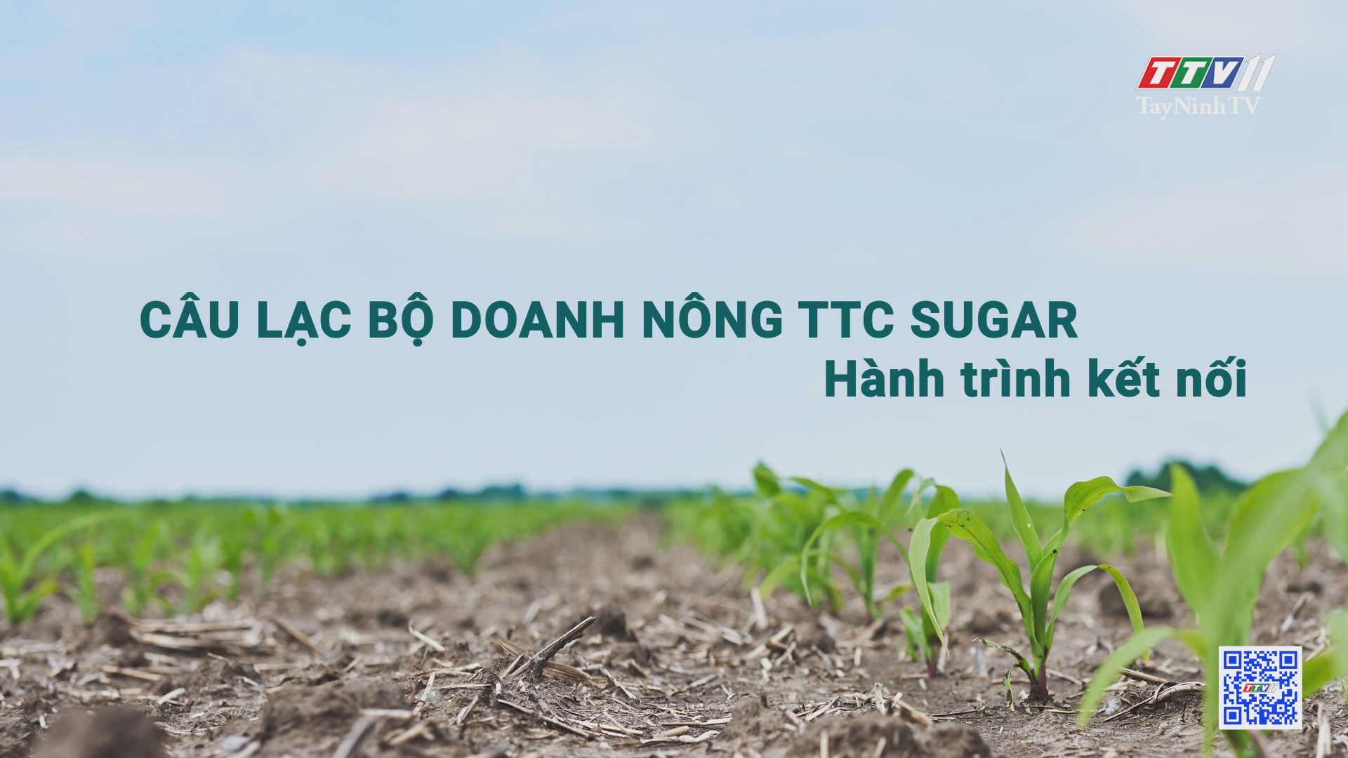 Câu lạc bộ Doanh nông TTC Sugar – Hành trình kết nối | Cây mía Việt | TayNinhTV