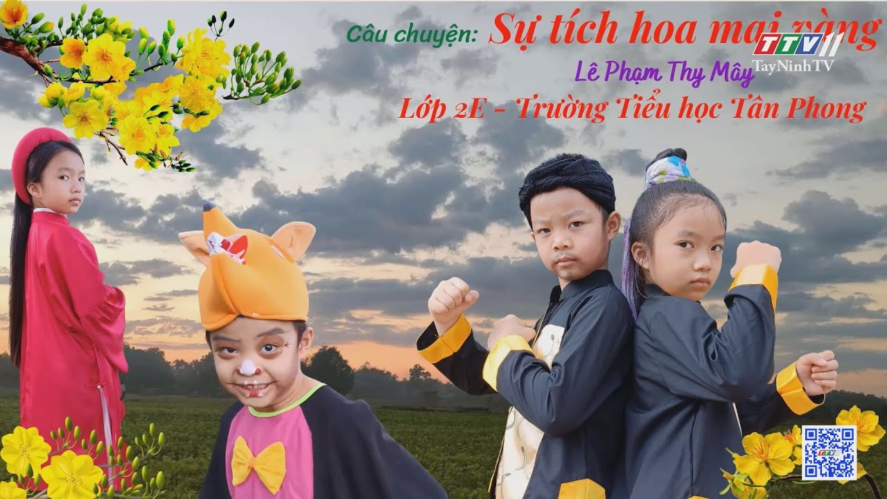 SỰ TÍCH HOA MAI VÀNG | Trang tuổi thơ | TayNinhTV