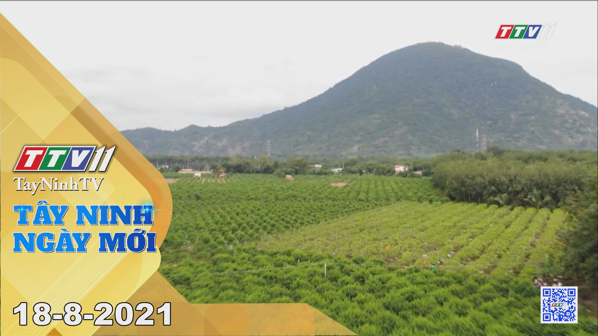 Tây Ninh Ngày Mới 18-8-2021 | Tin tức hôm nay | TayNinhTV