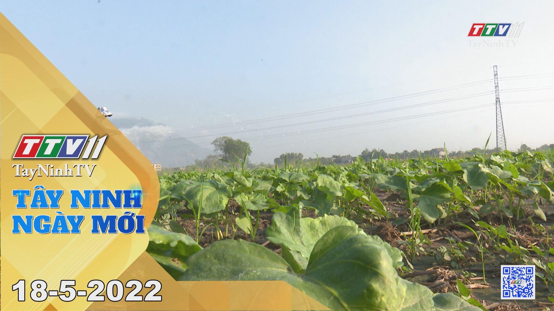 Tây Ninh ngày mới 18-5-2022 | Tin tức hôm nay | TayNinhTV