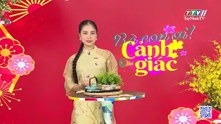 Bà con ơi cảnh giác | 14-02-2024 | TayNinhTVEnt