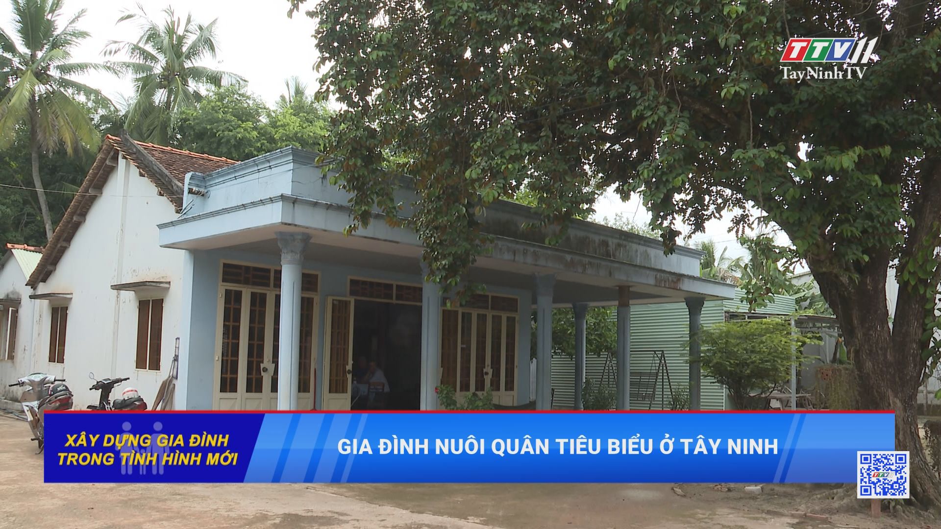 Gia đình nuôi quân tiêu biểu ở Tây Ninh | Xây dựng gia đình trong trình hình mới | TayNinhTV
