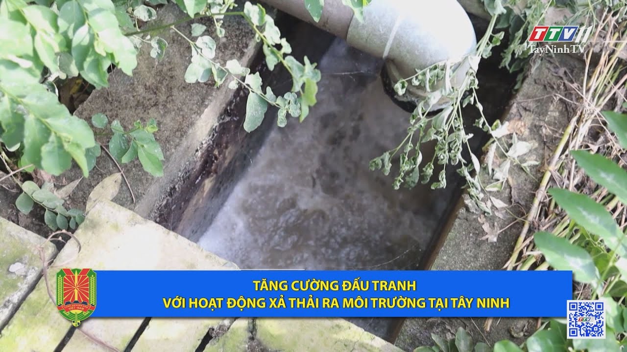 Tăng cường đấu tranh với hoạt động xả thải ra môi trường tại Tây Ninh | An ninh Tây Ninh | TayNinhTV