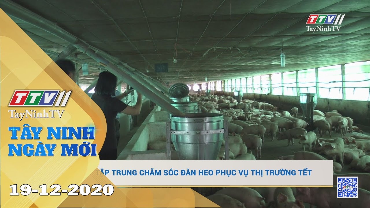 Tây Ninh Ngày Mới 19-12-2020 | Tin tức hôm nay | TayNinhTV 
