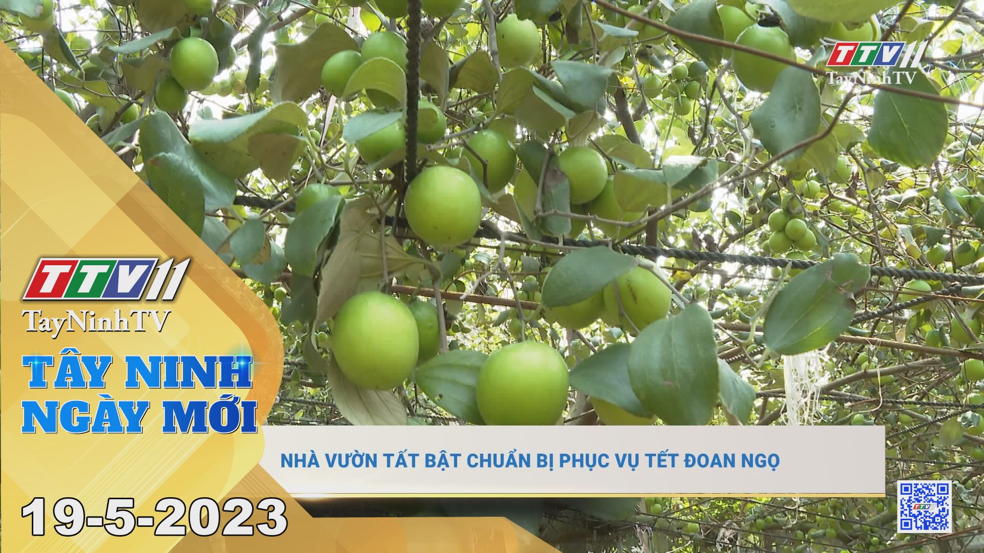 Tây Ninh ngày mới 19-5-2023 | Tin tức hôm nay | TayNinhTV