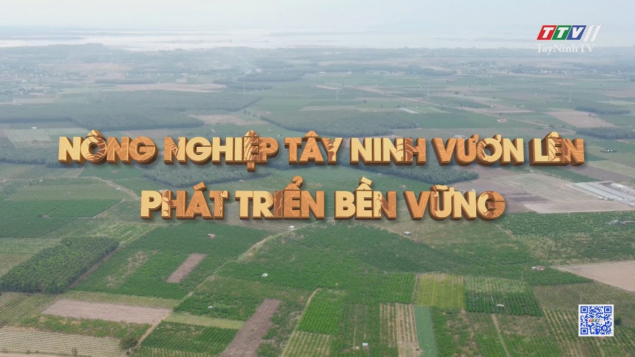 Nông nghiệp Tây Ninh vươn lên, hướng tới bền vững