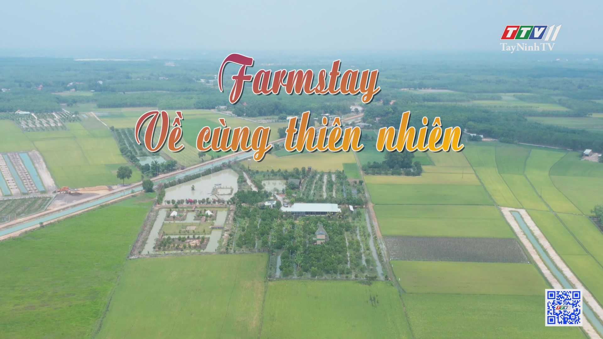 Farmstay-Về cùng thiên nhiên | ẤN TƯỢNG TÂY NINH | TayNinhTV