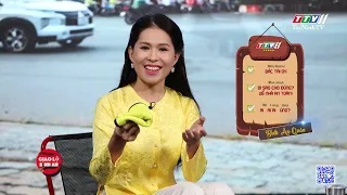 GIAO LỘ BÌNH AN | 17-3-2024 | TayNinhTV