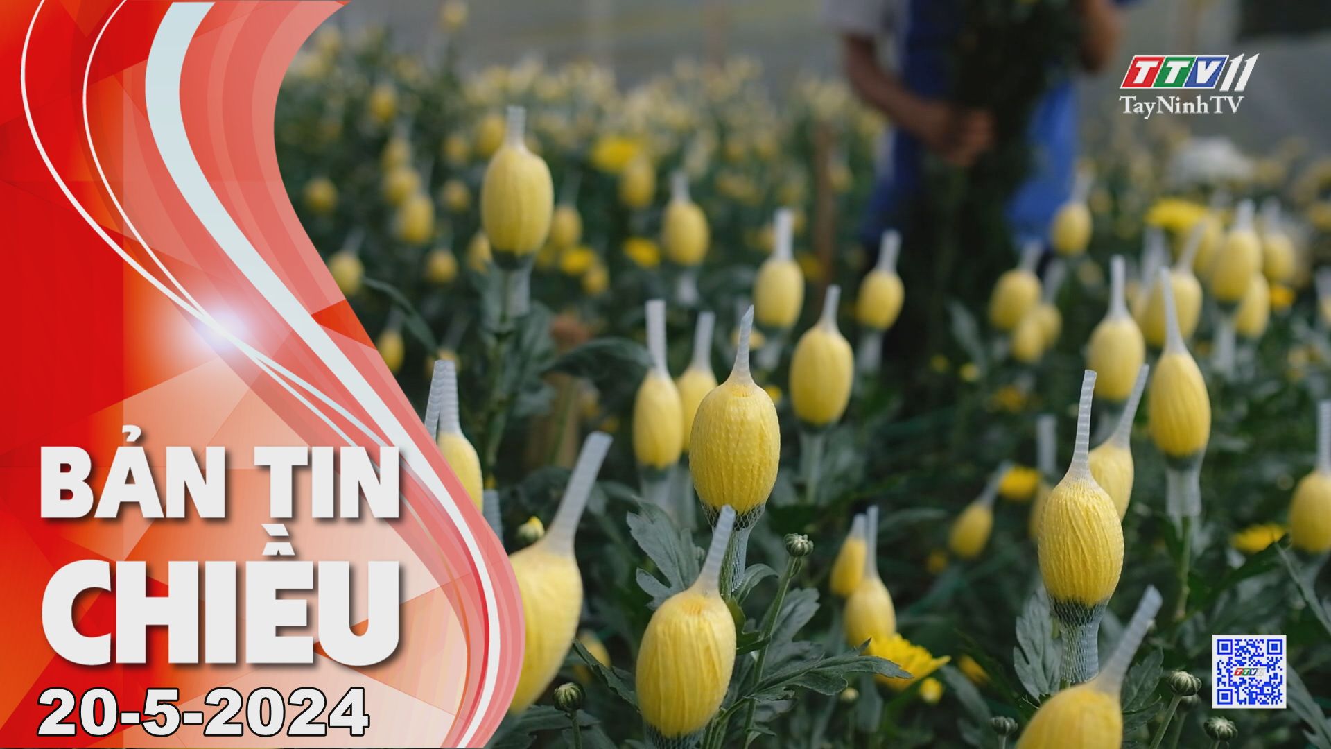 Bản tin chiều 20-5-2024 | Tin tức hôm nay | TayNinhTV