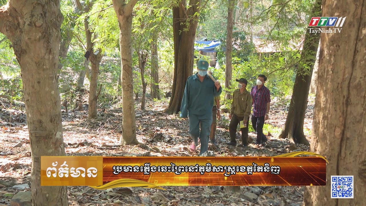 Bản tin tiếng Khmer ngày 15-3-2023 | Tin tức hôm nay | TayNinhTV Today