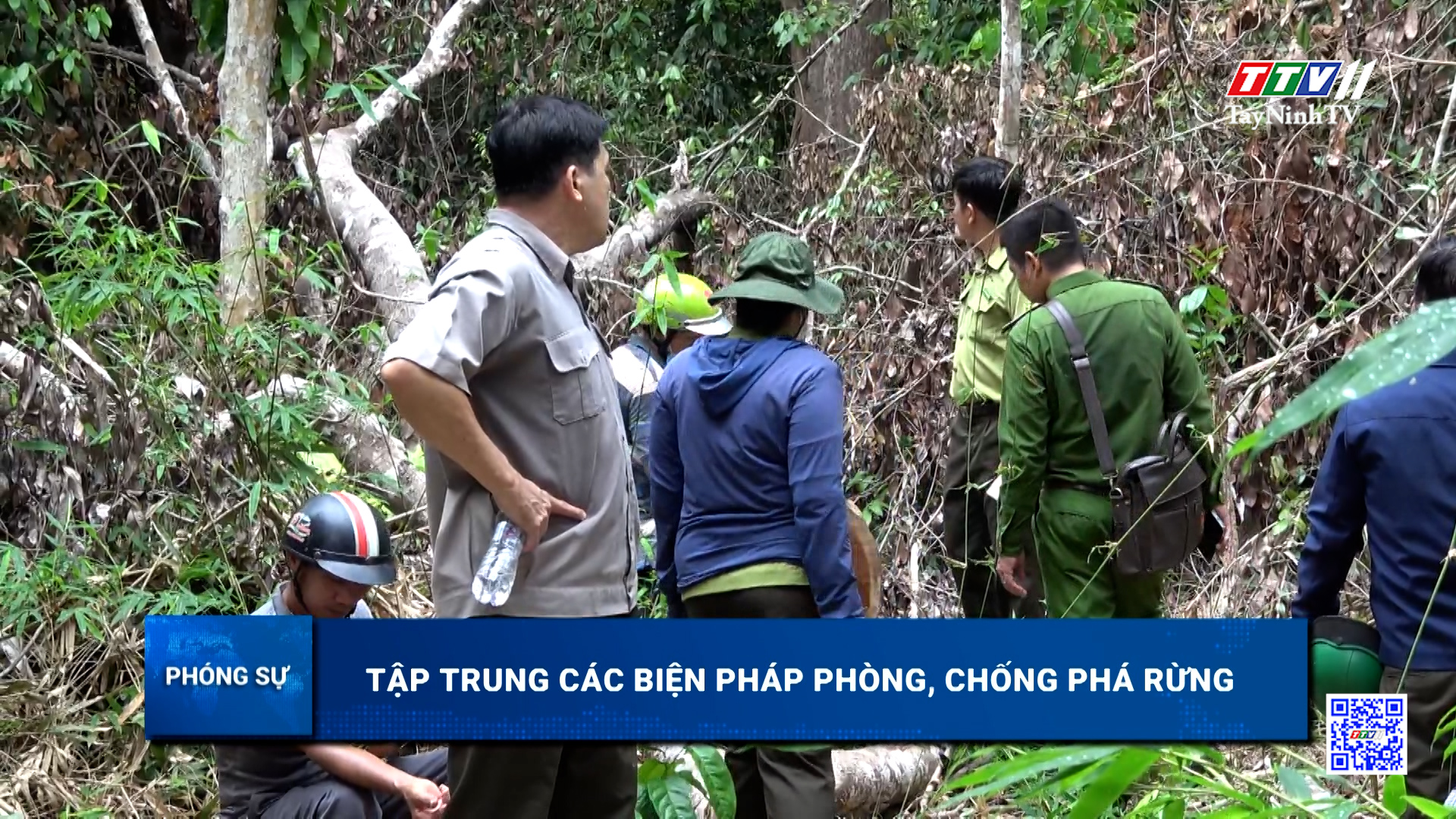 Tập trung các biện pháp phòng, chống phá rừng | TayNinhTV