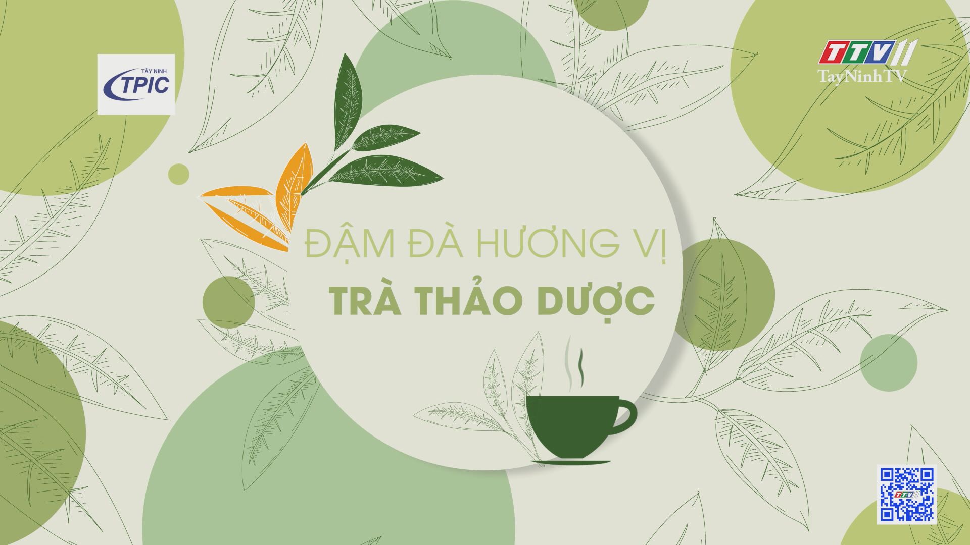 Đậm đà hương vị trà thảo dược | HÀNH TRÌNH OCOP | TayNinhTV