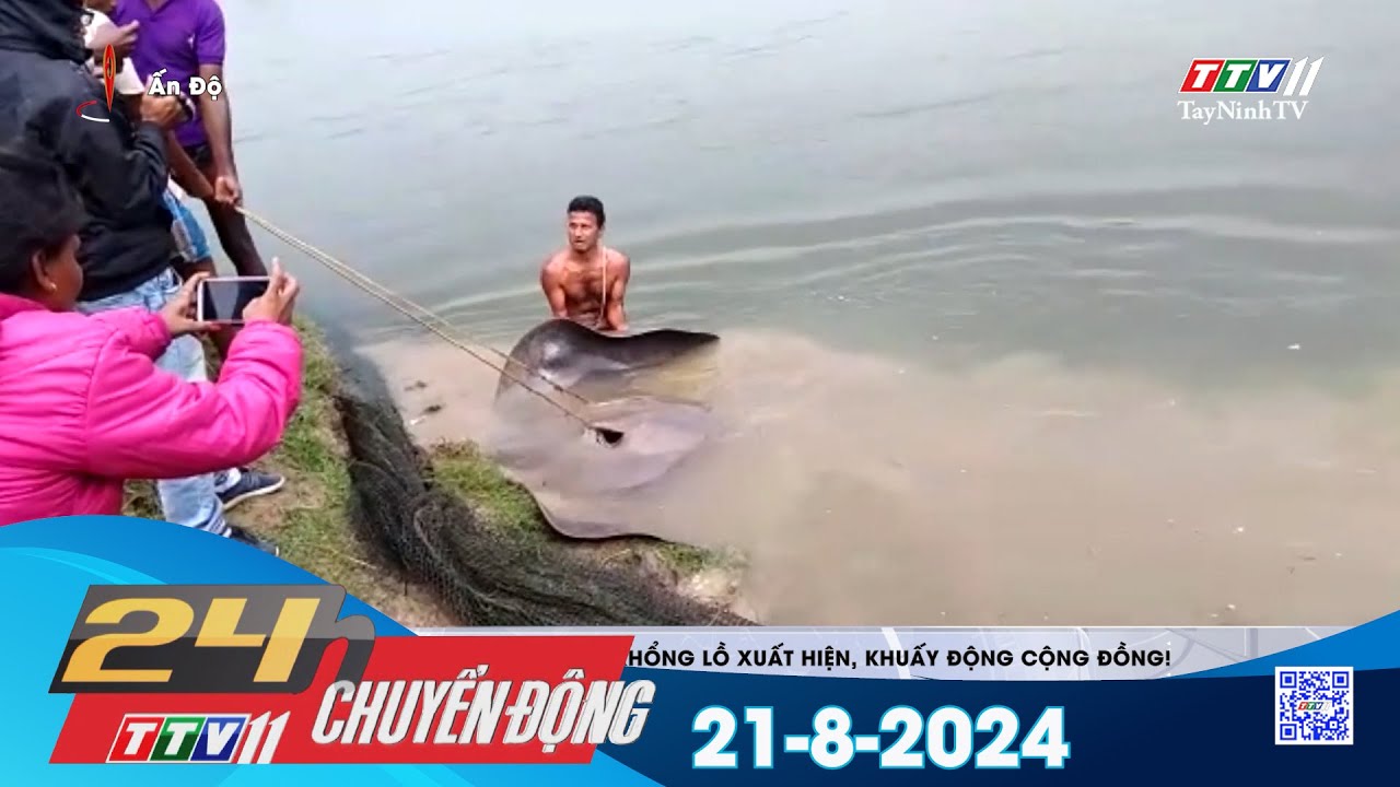 24h Chuyển động 21-8-2024 | Tin tức hôm nay | TayNinhTVEnt