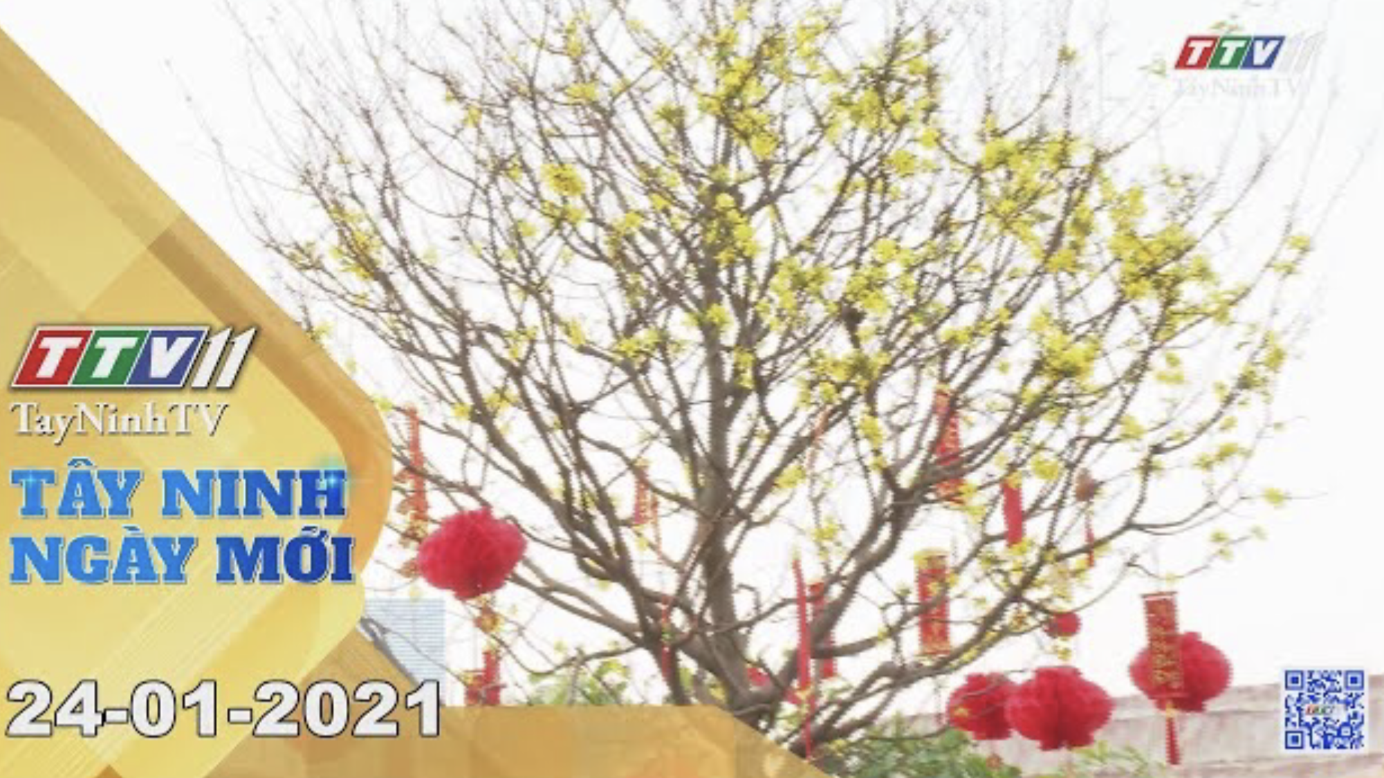 Tây Ninh Ngày Mới 24-01-2021 | Tin tức hôm nay | TayNinhTV