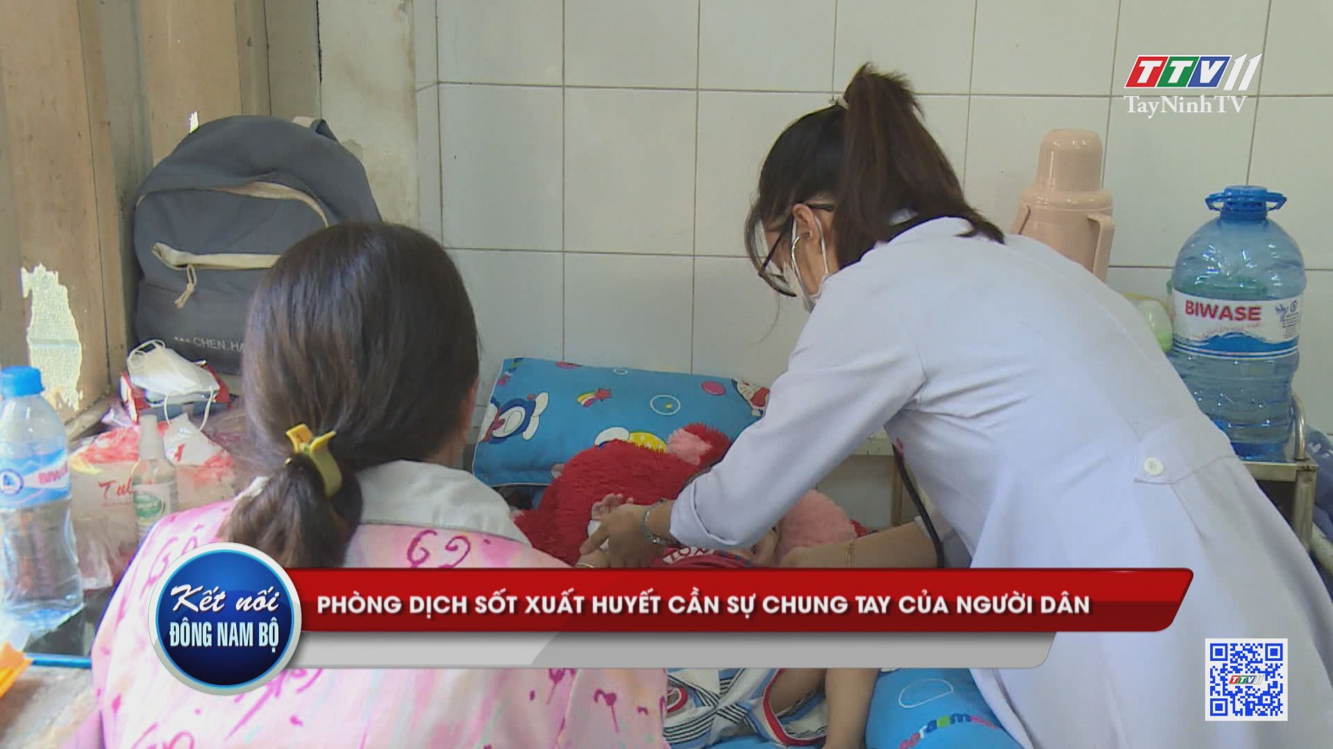 Phòng dịch sốt xuất huyết cần sự chung tay của người dân | Kết nối Đông Nam Bộ | TayNinhTV