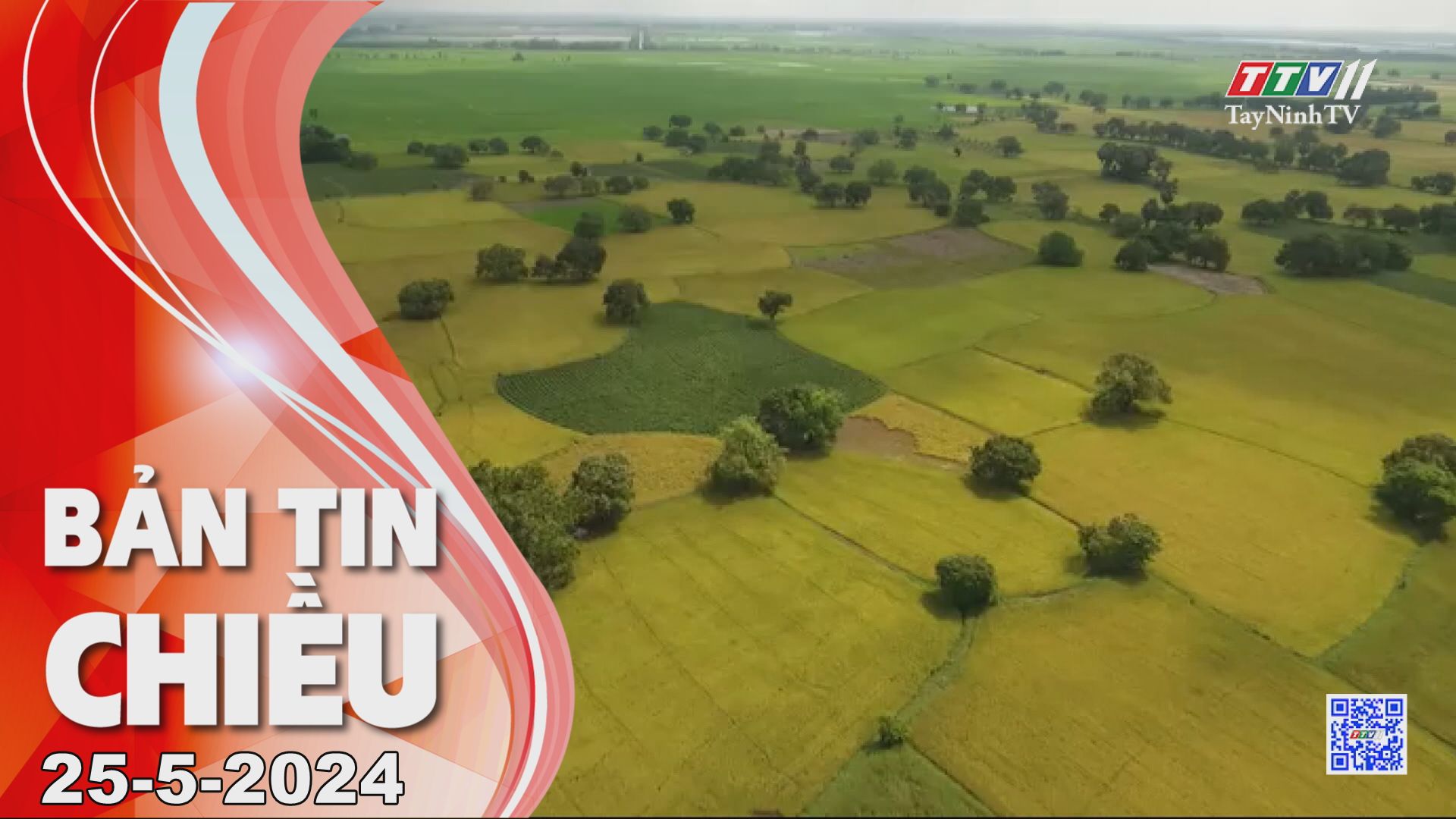 Bản tin chiều 25-5-2024 | Tin tức hôm nay | TayNinhTV