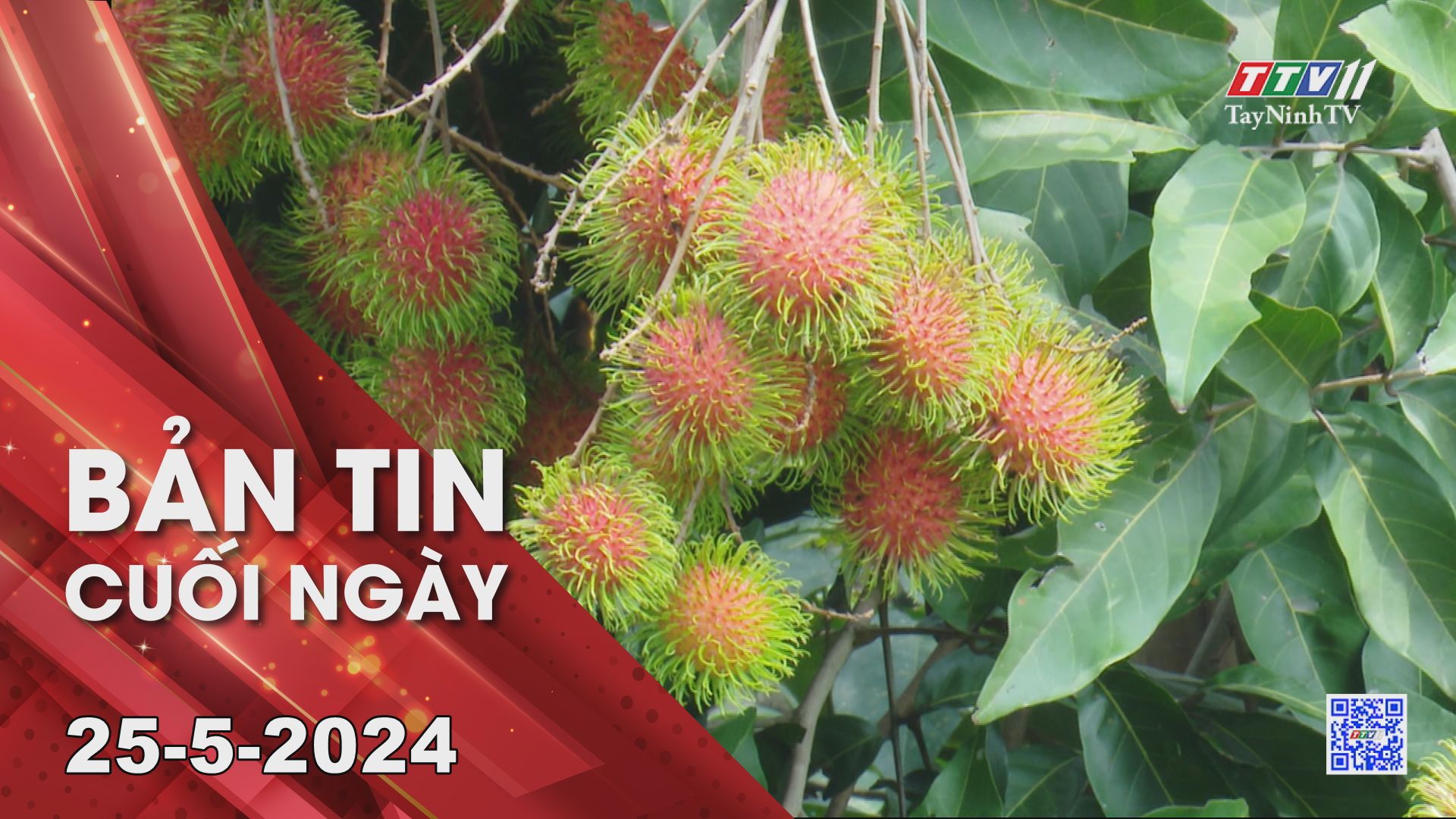 Bản tin cuối ngày 25-5-2024 | Tin tức hôm nay | TayNinhTV