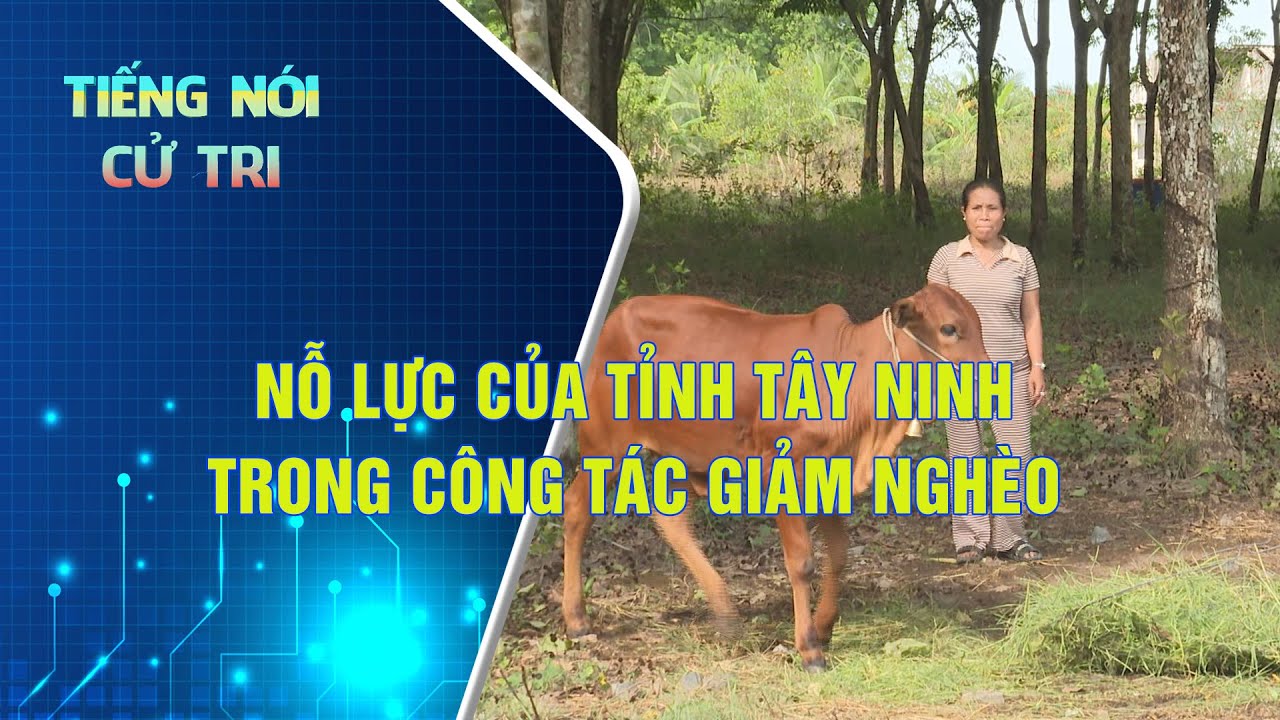 Nỗ lực của tỉnh Tây Ninh trong công tác giảm nghèo | TIẾNG NÓI CỬ TRI | TayNinhTV