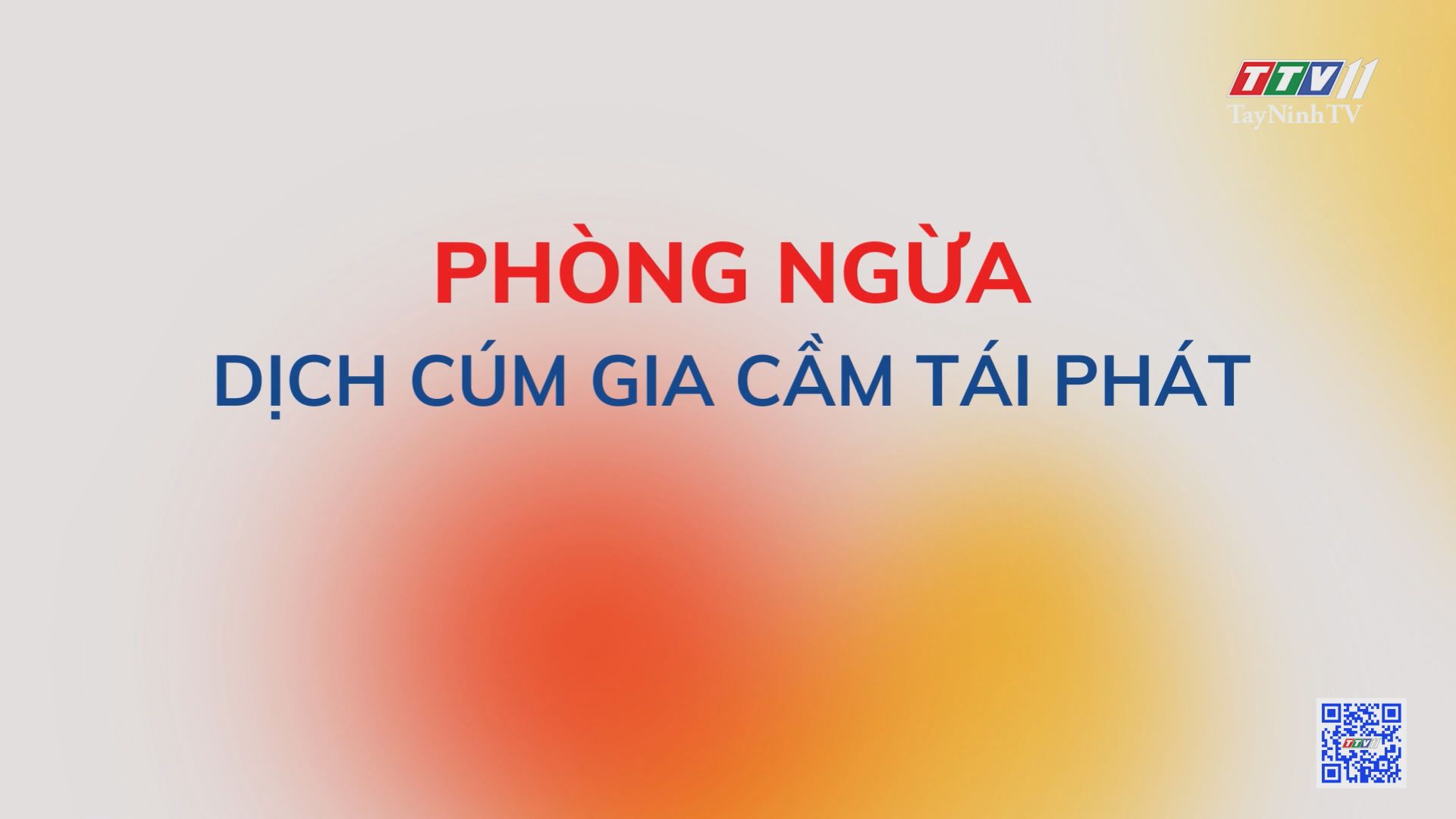 Phòng ngừa dịch cúm gia cầm tái phát | Nông nghiệp Tây Ninh | TayNinhTV