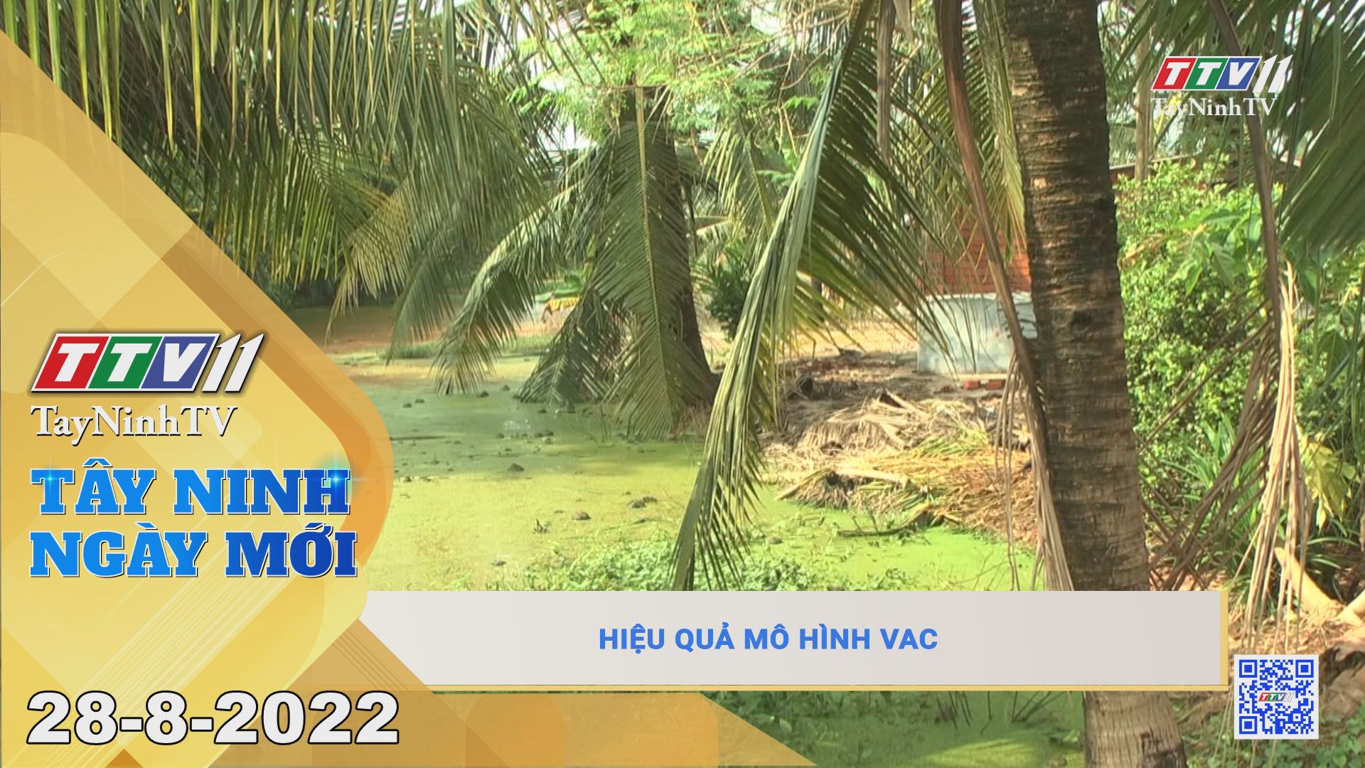 Tây Ninh ngày mới 28-8-2022 | Tin tức hôm nay | TayNinhTV