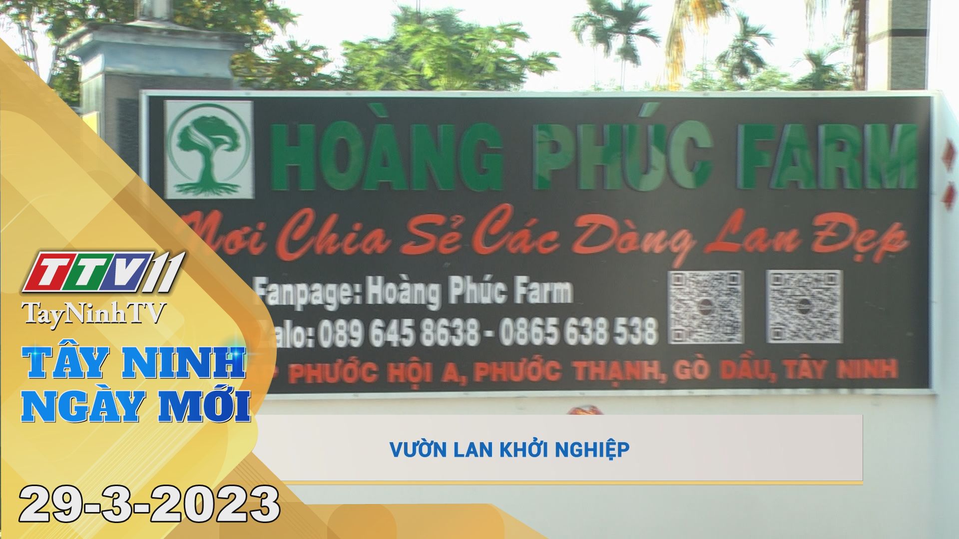 Tây Ninh ngày mới 29-3-2023 | Tin tức hôm nay | TayNinhTV